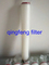 PTFE Media Plearted Cartridge Filter для воды и химической фильтрации