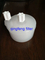 0,2 UM PES High Flux Capsule Filter