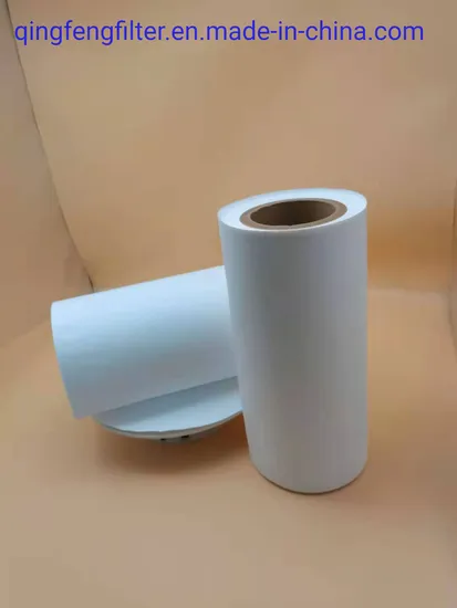 Гидрофобный мембранный фильтр PVDF/PTFE 0,22 мм для биологических продуктов