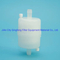 2 '/4 '/5 '/10 ' PES Media Capsule Filter