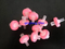 0,2 мм 0,45 UM Color Ring PTFE/PVDF/Нейлоновый шприц -фильтр для лабораторной фильтрации