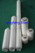 1um 3UM Абсолютная мембрана PP/PP/PVDF/PTFE/PES/NYLON/CA Плиссированный картридж для фильтрации для разъяснения фильтрации