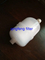 0,2 UM PES High Flux Capsule Filter