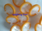 PTFE/PVDF/PP/PES/Нейлоновые шприцы фильтры для лаборатории и медицинского использования