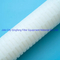 Оптовая 10 ′ ′ 20 ′ ′ 30′40′ 'Nylon66/pp/PES/PTFE/GF Плистраная картридж цена картриджа в микронном фильтре